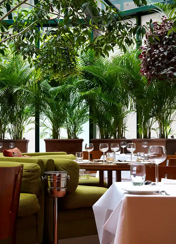 Chutney Mary, archived image 1990